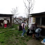 bonyhad_heti_29_6